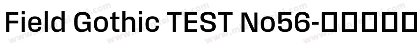 Field Gothic TEST No56字体转换